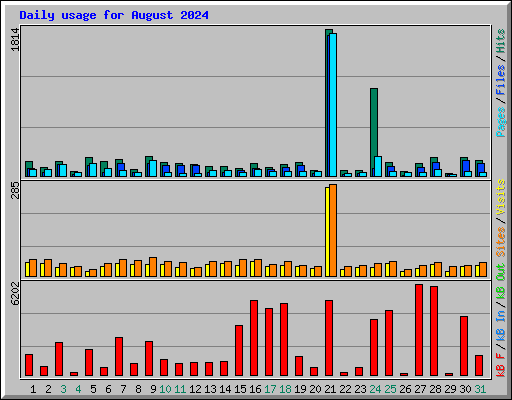 Daily usage for August 2024