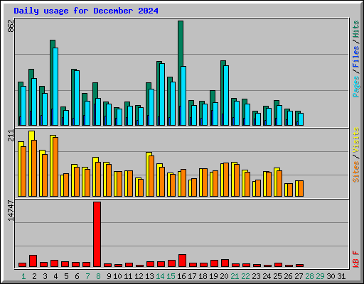 Daily usage for December 2024