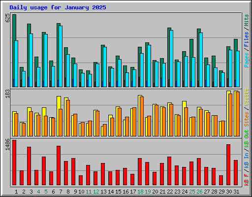 Daily usage for January 2025