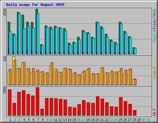 Daily usage for August 2025