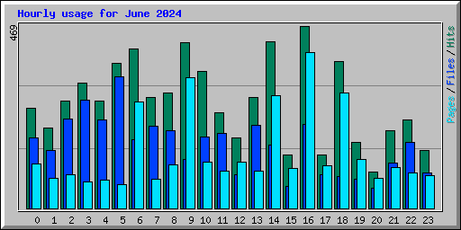 Hourly usage for June 2024