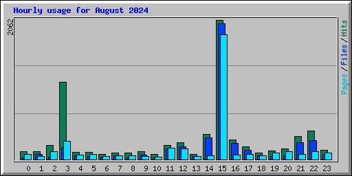 Hourly usage for August 2024