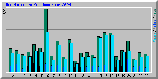 Hourly usage for December 2024