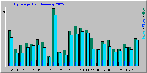 Hourly usage for January 2025