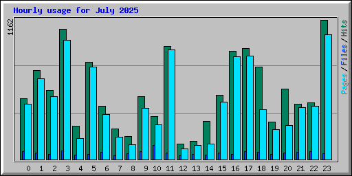 Hourly usage for July 2025