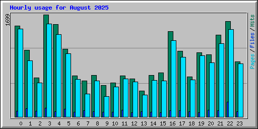 Hourly usage for August 2025