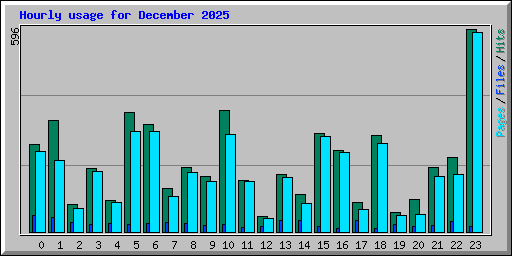 Hourly usage for December 2025