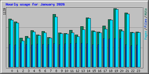 Hourly usage for January 2026