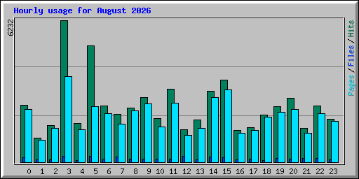 Hourly usage for August 2026