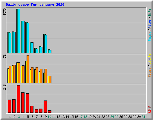 Daily usage for January 2026