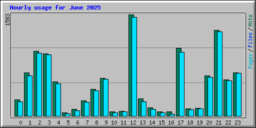 Hourly usage for June 2025