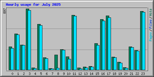 Hourly usage for July 2025