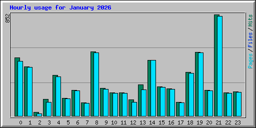 Hourly usage for January 2026